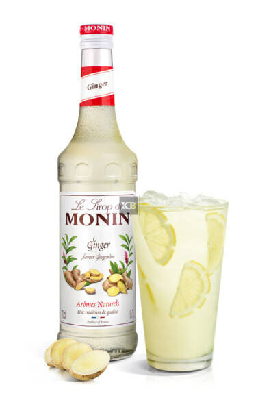 Syrop Imbirowy Monin Ginger L Art Spo Ywcze Produkty Monin